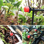 🔥HOT SALE 49% OFF🔥Adjustable Irrigation Drippers