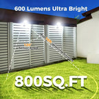 🔥2026 New Product💥 Upgrade Octopus Solar Light